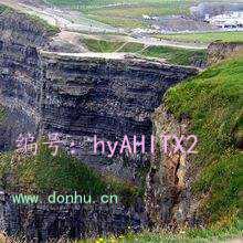 Ը